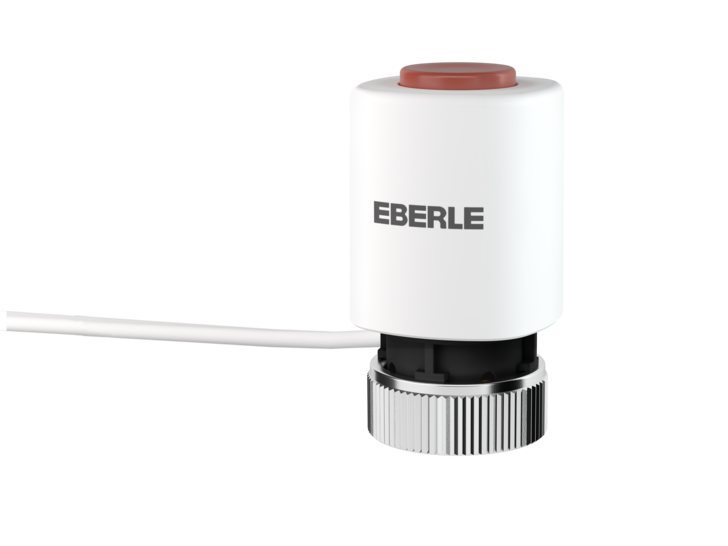 Eberle: TS Sprint.