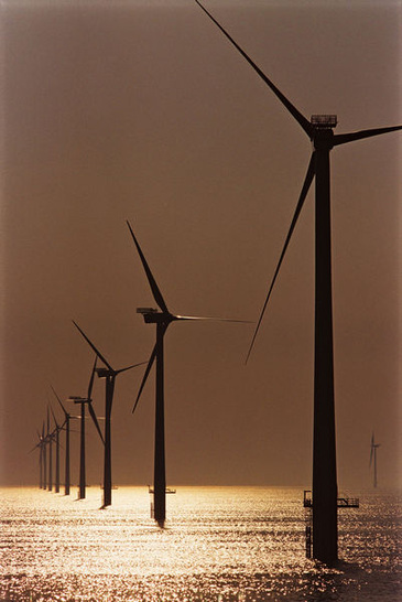 Erneuerbareboom_Vollbild - © Vestas Central Europe
 Erneuerbareboom_Vollbild