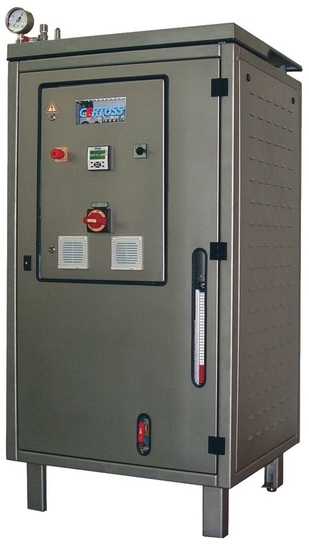 Certuss: Elektrodampfautomaten E 100 bis 165 kg/h mit wahlweise Stahl/Edelstahl für die wasser- und dampfberührten Teile. - © Bild. Certuss
