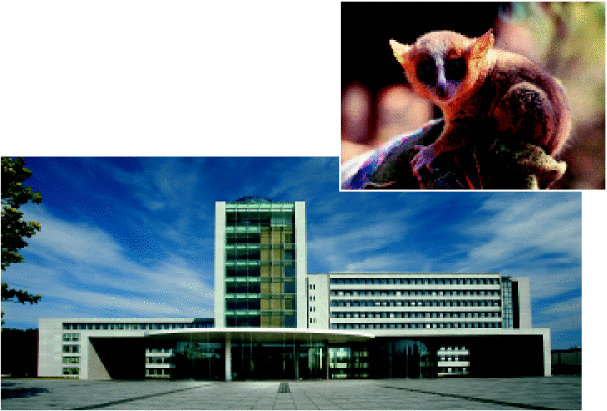 Danfoss: Die Konzernzentrale im dänischen Nordborg und ein Star aus Madagaskar, der Mausmaki “Microcebus Danfossi“. - © Danfoss
 Danfoss: Die Konzernzentrale im dänischen Nordborg und ein Star aus Madagaskar, der Mausmaki “Microcebus Danfossi“.