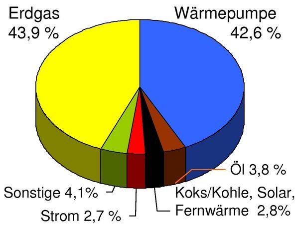 Vorwiegend verwendete Heizenergie in neu errichteten Wohngebäuden 2009 in Thüringen.