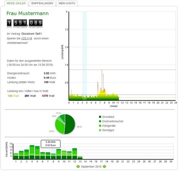 Screenshot des Discovergy-Interfaces.