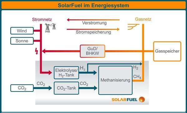 (Quelle: Specht/Sterner et al) - © Specht/Sterner et al
