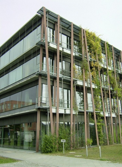 Abb. 1 Physik-Institut der Humboldt-Universität zu Berlin am Standort Adlershof mit Fassaden- und Dachbegrünung zur passiven Gebäudekühlung. Über einen 5-Behälter-Regenspeicher mit einem Gesamtvolumen von 55 m³ wird Regenwasser zur Bewässerung und adiabaten Kühlung zur Verfügung gestellt.