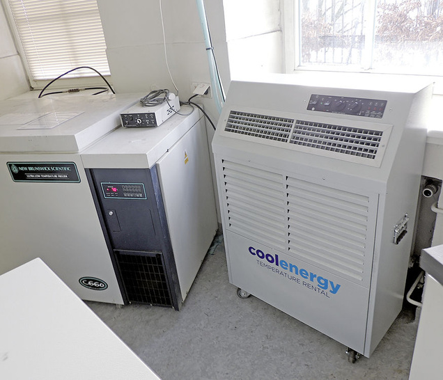 Abb. 1 Das BNI musste seine Tiefkühltruhen ­übergangsweise in einem nichtklimatisierten Raum aufstellen. Mit Mietkälte wurden ­Wärmeprobleme verhindert.