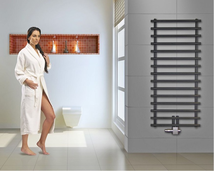 Purmo: Design­heizkörper Leros.