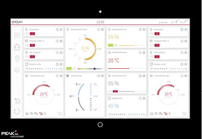 



PEAKnx: Controlmini. 

