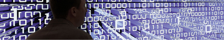 



1
 Im Fokus der DSGVO steht der Schutz persönlicher digitaler und analoger Daten. 
