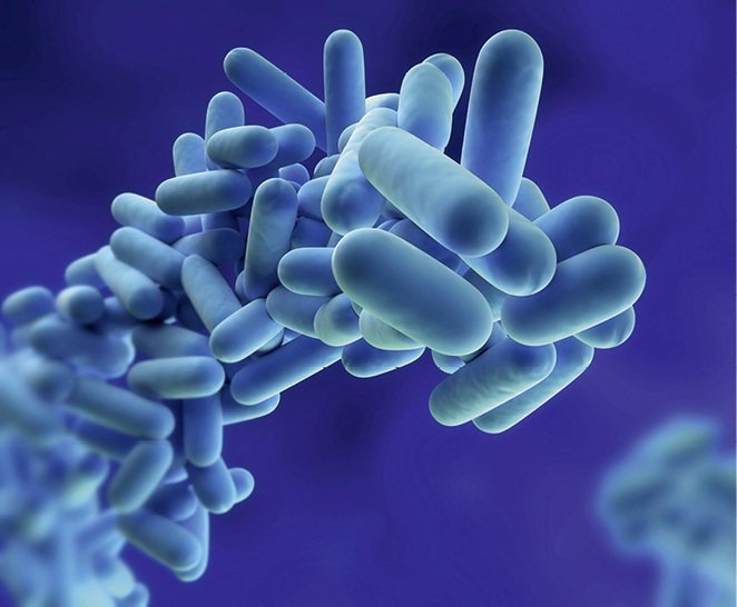 



1
 Legionella pneumophila – das vom kommunalen Versorgungs-unternehmen bereitgestellte Trinkwasser ist nicht steril. 
