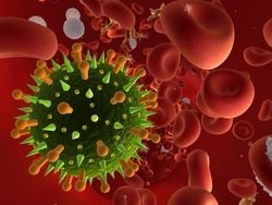Influenzavirus