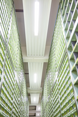 Frenger Systemen: LED-Einbauleuchten.