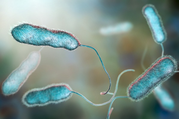 Legionella-pneumophila-Bakterium (3D-Illustration).