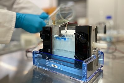 Gelelektrophorese zum Nachweis des elektrochemischen Proteinabbaus.