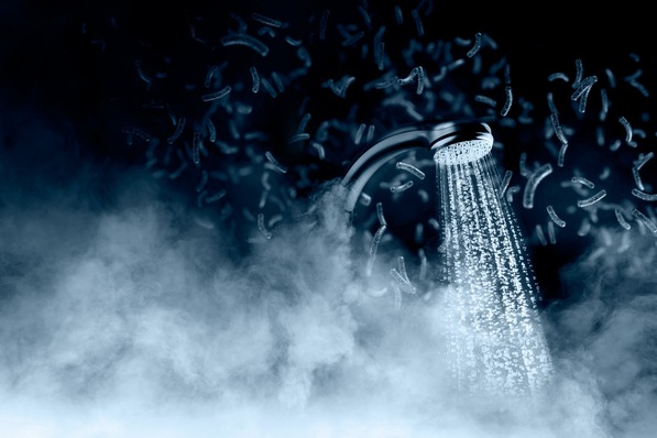 Bild 1 Forscher der Universität Zürich haben herausgefunden: Die Vorliebe von Legionellen für Wärme hat eine klare Grenze.