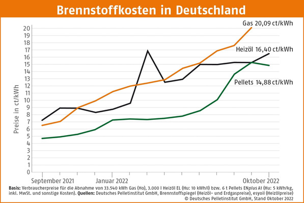 © Deutsches Pelletinstitut
