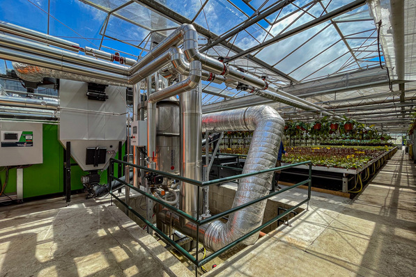 Effiziente Wärmerückgewinnung von Schräder für den Gartenbaubetrieb Weilbrenner: Hackgutheizung und Wärmeübertrager stehen im Gewächshaus.