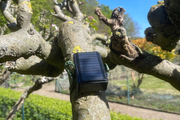 Bild 1 „Smarter Baum“ in Hürth.