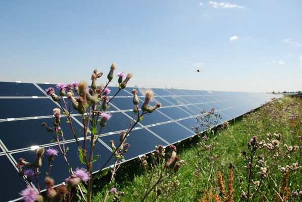 Quelle: BSW-Solar / FirstSolar