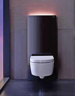 



Sanitärmodul Geberit Monolith Plus 
