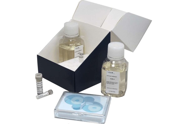rqmicro-Test-Kit für Legionella pneumophila SG1.