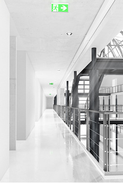 



OBO: Pyroline Rapid. 
